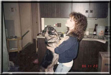 German_Shepherd_Breeder